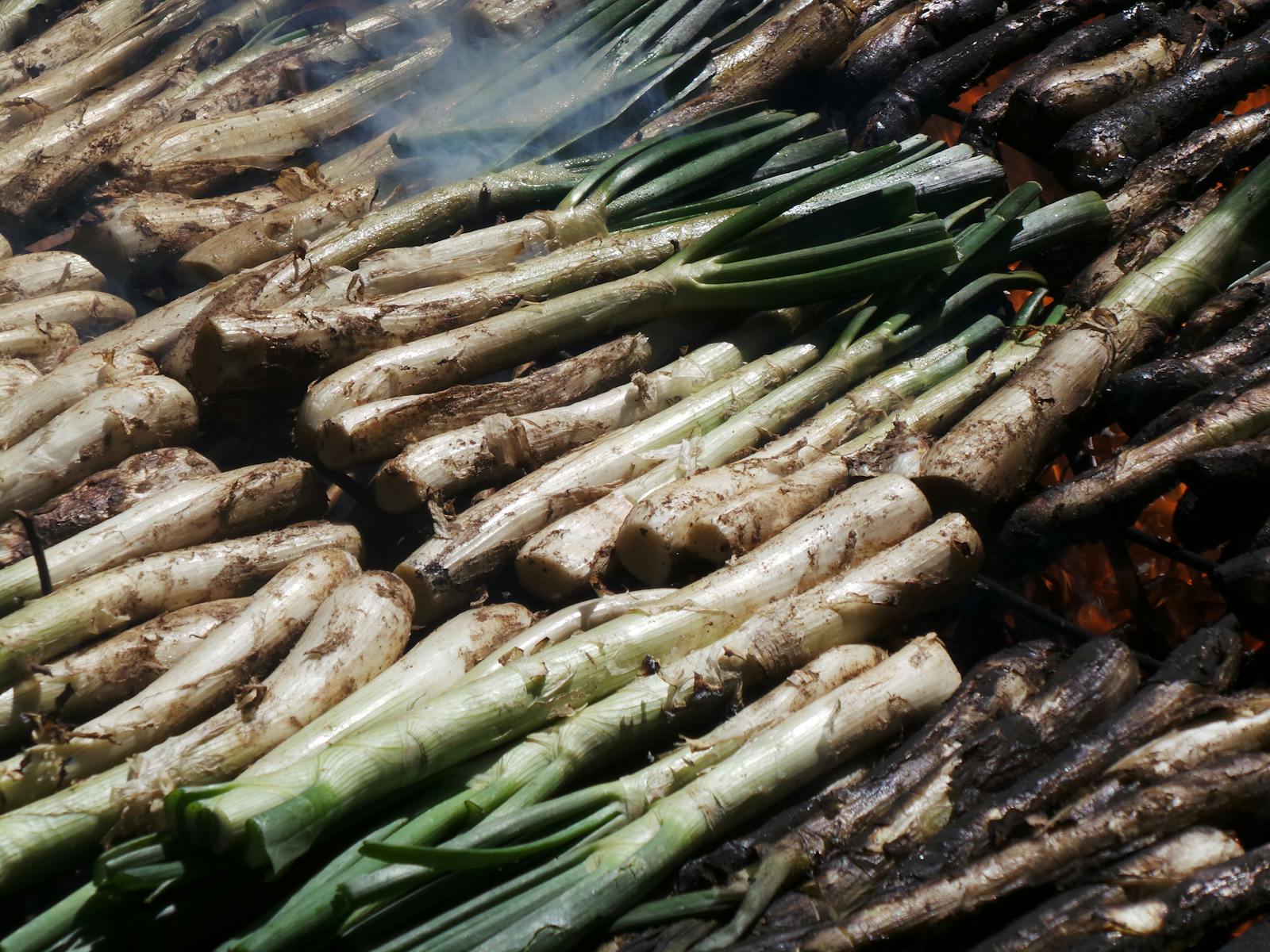 Home Calcots a la graella amb salsa de calcotada